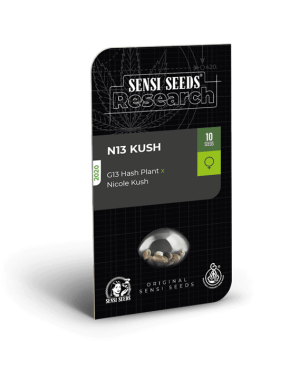 N13 Kush