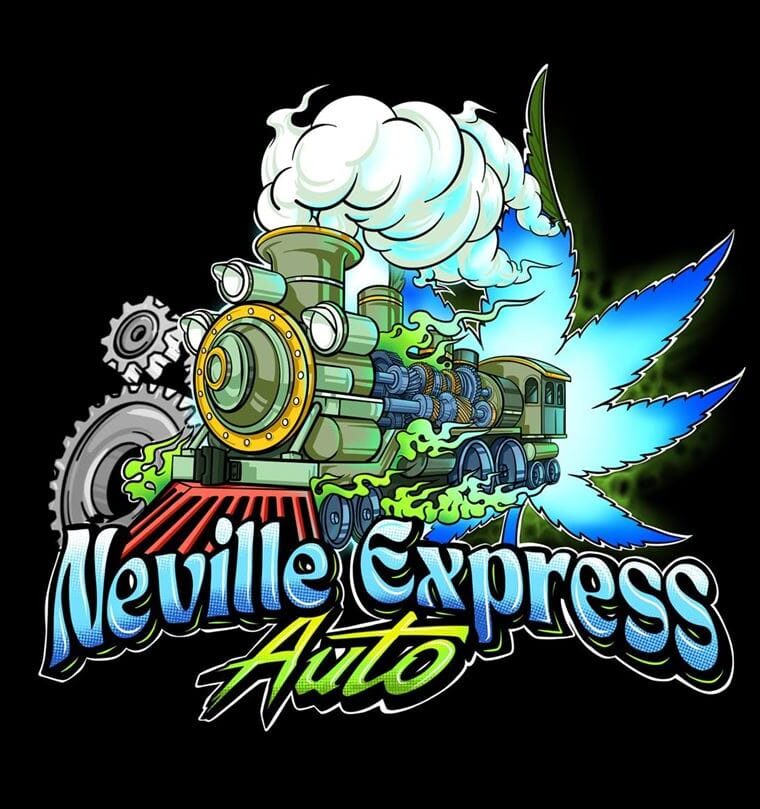 Neville Express Auto by Sumo Seeds – Auto-Flowering – Floral – Creative – image 1 – Seed City