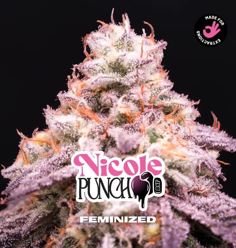 Nicole Punch from BSF Seeds