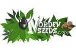 Norden Seeds logo