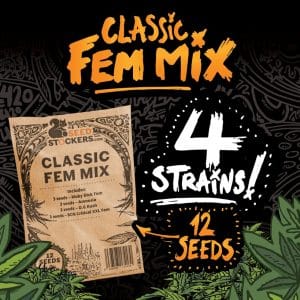 Old School Fem Mix
