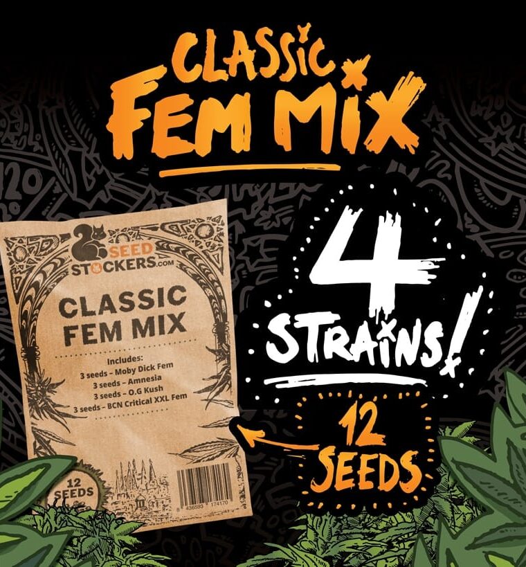 Image 1 of Old School Fem Mix cannabis by Seed Stockers – Sativa – Female seeds – 12/12 Photoperiod – Seed City