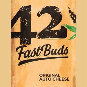 Image 1 of Original Auto Cheese cannabis by FastBuds – Indica-heavy – Couch Lock – Fruity – Seed City