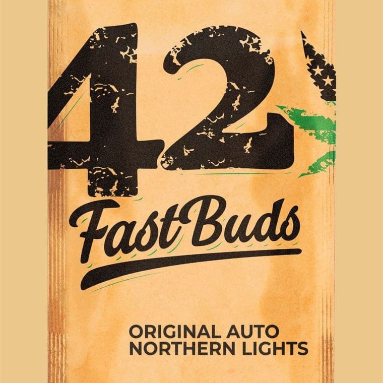 Original Auto Northern Lights cannabis seeds – Auto-Flowering – Relaxing – Indica-heavy – image 1 from Seed City