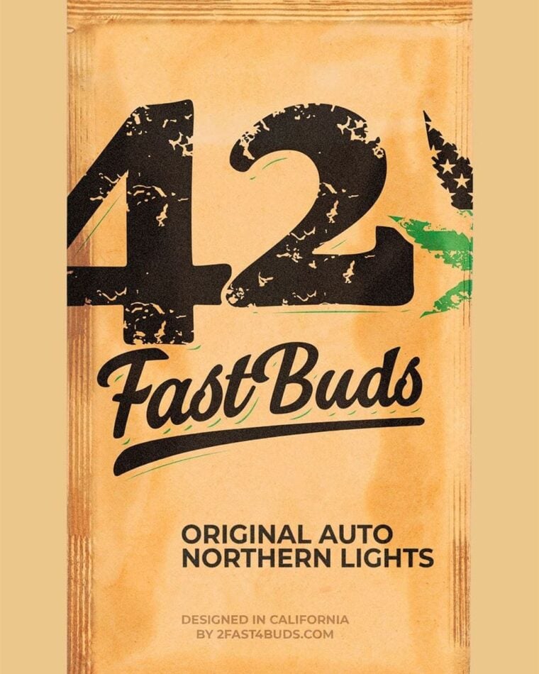 Original Auto Northern Lights cannabis seeds – Auto-Flowering – Relaxing – Indica-heavy – image 1 from Seed City