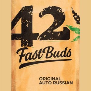Indica-heavy – Earthy – Short (up to 80cm) – Original Auto Russian strain – image 1 – from FastBuds via Seed City