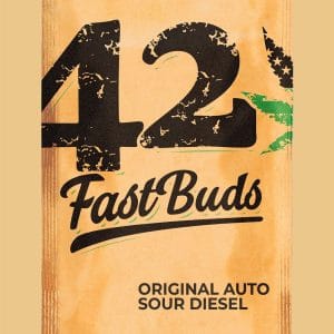 Auto-Flowering – Peppery – Creative – Original Auto Sour Diesel strain – image 1 – from FastBuds via Seed City