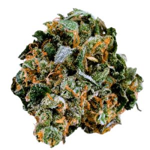 Original Cheerioz by TerpFarmz Seeds – Citrus – Cerebral – Super Strength – image 1 – Seed City