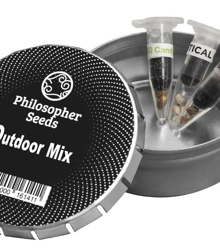 Outdoor Mix cannabis seeds – Guaranteed female plants – High Yielding – 12/12 Photoperiod – image 1 from Seed City