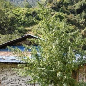Nepal Annapurna