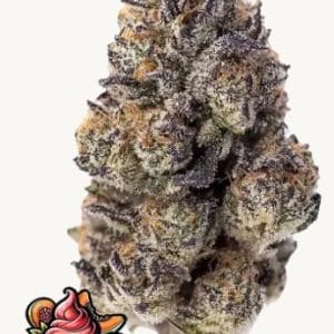 Papaya Sherbet from FastBuds