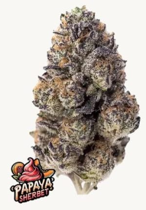 Papaya Sherbet