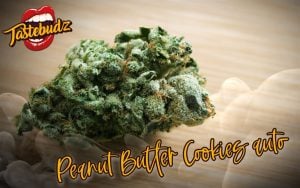 Peanut Butter Cookies Auto