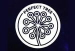 Perfect Tree Seeds logo
