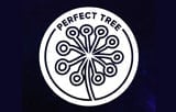 Perfect Tree Seeds
