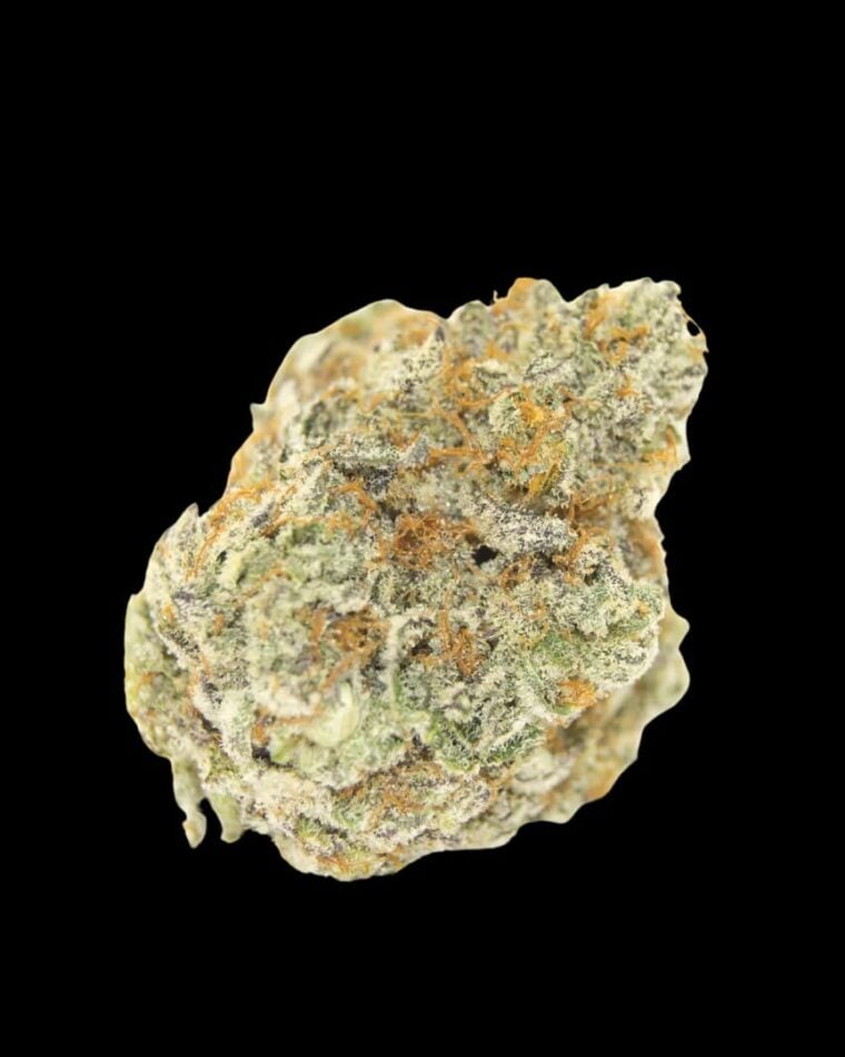 Image 1 of Permanent WhiteMarker Auto cannabis by Growers Choice – Female seeds – Super Strength – Outdoor – Seed City