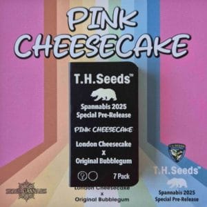 Pink Cheesecake