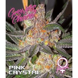 Pink Crystal