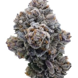 Pink Glitterbomb by Growers Choice – Stress Relief – The End of October – Large yield – image 1 – Seed City