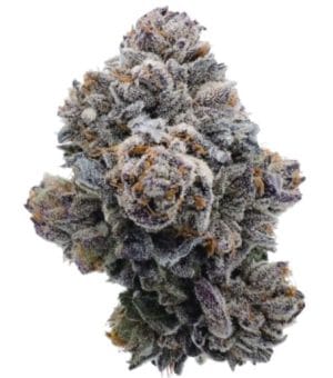 Pink Glitterbomb