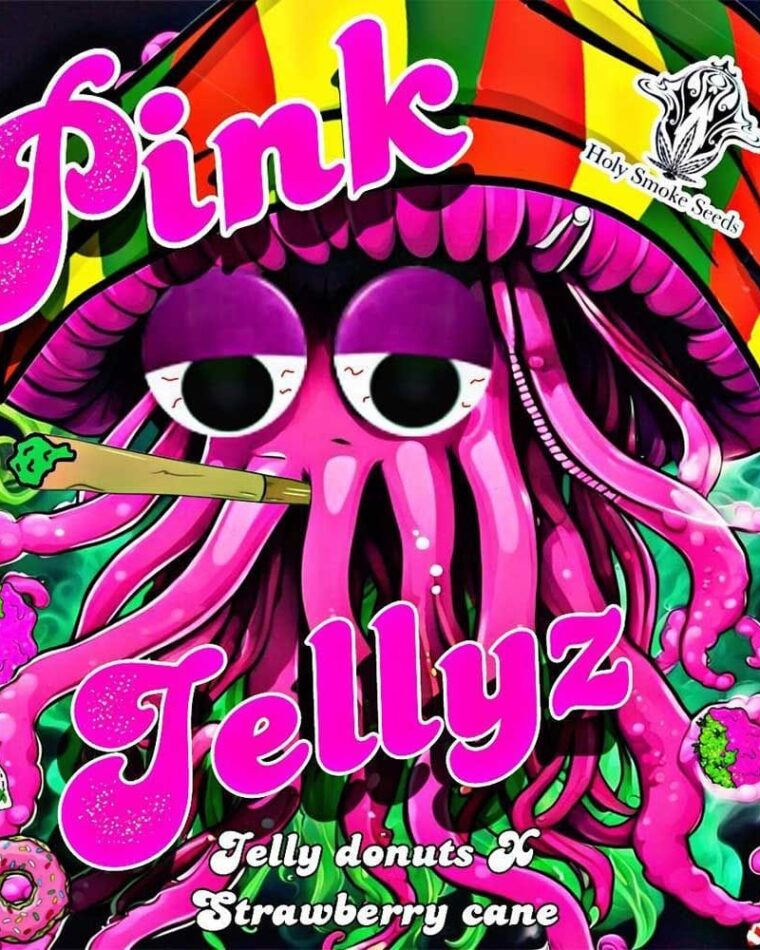 Image 1 of Pink Jellyz cannabis by Holy Smoke Seeds – 12/12 Photoperiod – Mostly Indica – High Yielding – Seed City