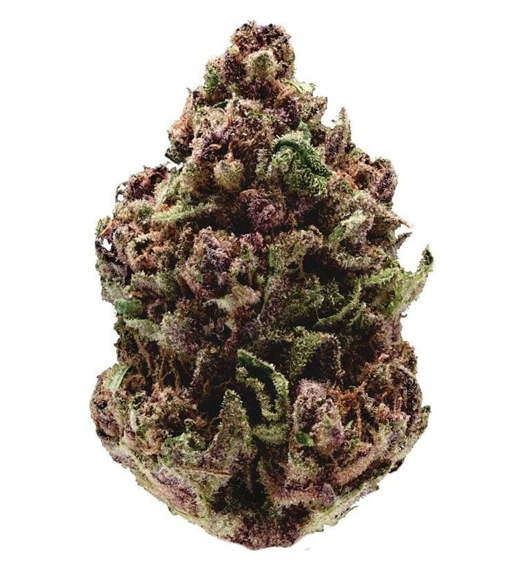 Image 1 of Pink Magic FAST Version cannabis by Growers Choice – Indoor – Sweet – Guaranteed female plants – Seed City