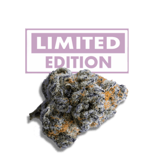 Platinum Mimosa Cookies Double XL Auto cannabis seeds – Auto-Flowering – Large yield – Dairy – image 1 from Seed City