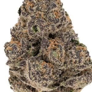 Professor Trichome - Modified Grapes cannabis seeds – Honey – Super Strength – Feminized – image 1 from Seed City