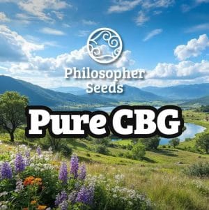 Pure CBG