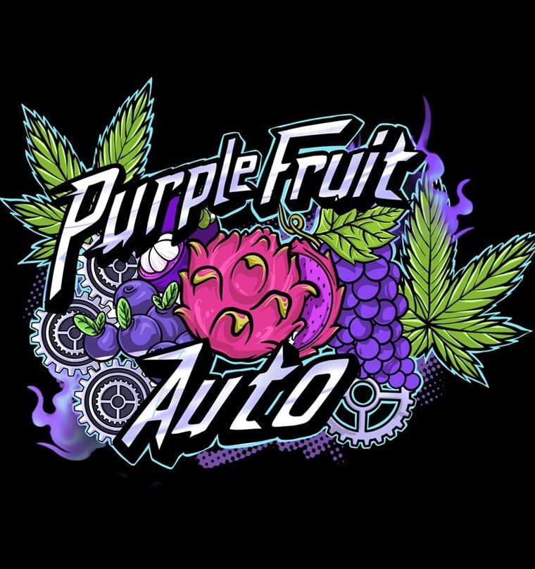 Image 1 of Purple Fruit Auto cannabis by Sumo Seeds – Mostly Sativa – Motivational – Female seeds – Seed City