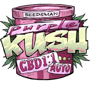 Purple Kush CBD 1:1 Auto