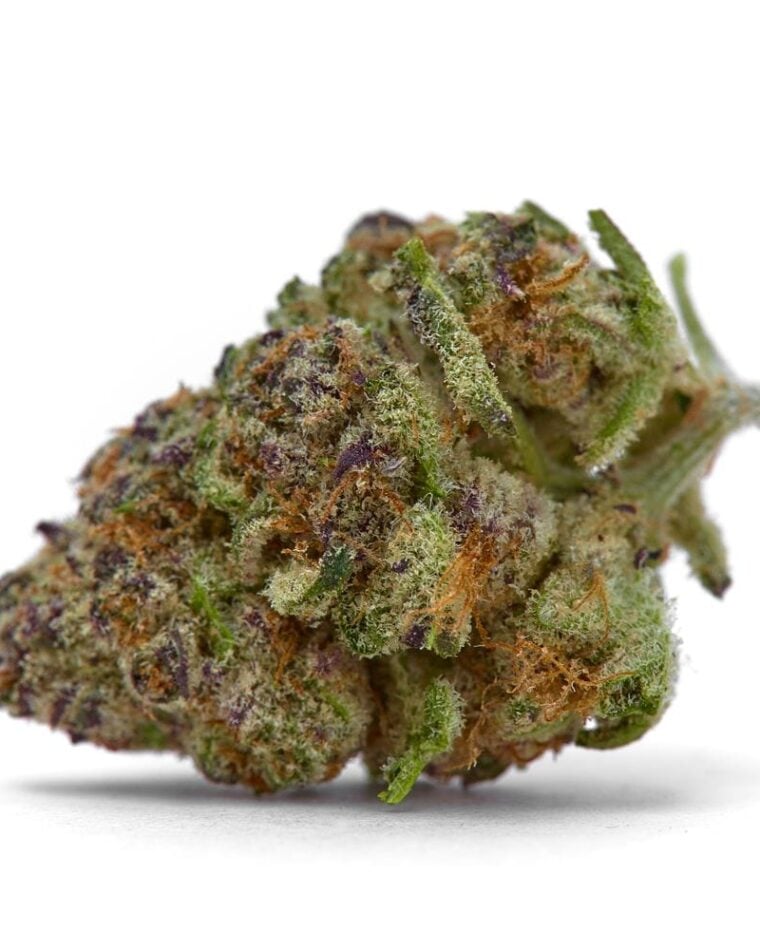 Purple Sunset from Growers Choice