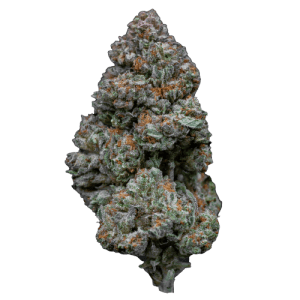 Image 1 of RS11 cannabis by Growers Choice – Suited for indoor growing – High Yielding – Indica Dominant – Seed City