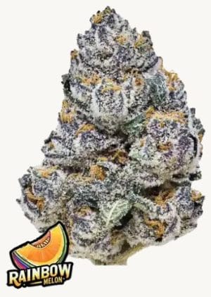 Rainbow Melon