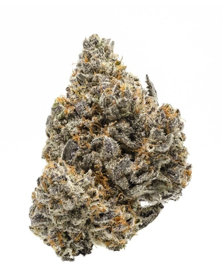 Rainbow Runtz from Growers Choice