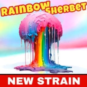 Rainbow Sherbet