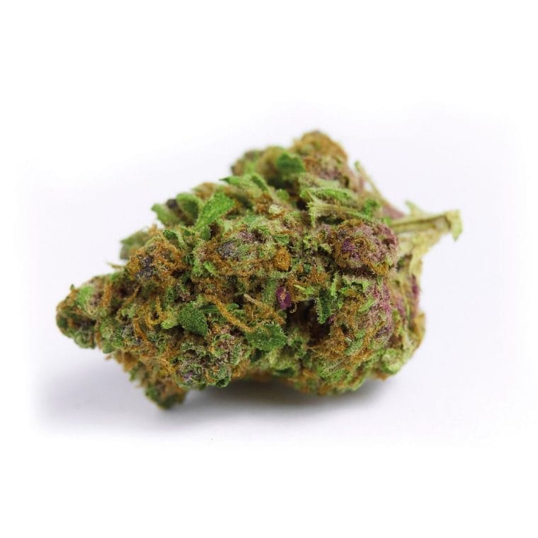 Image 1 of Red Banana Berry cannabis by Growers Choice – Large yield – Super Strength – Happy – Seed City