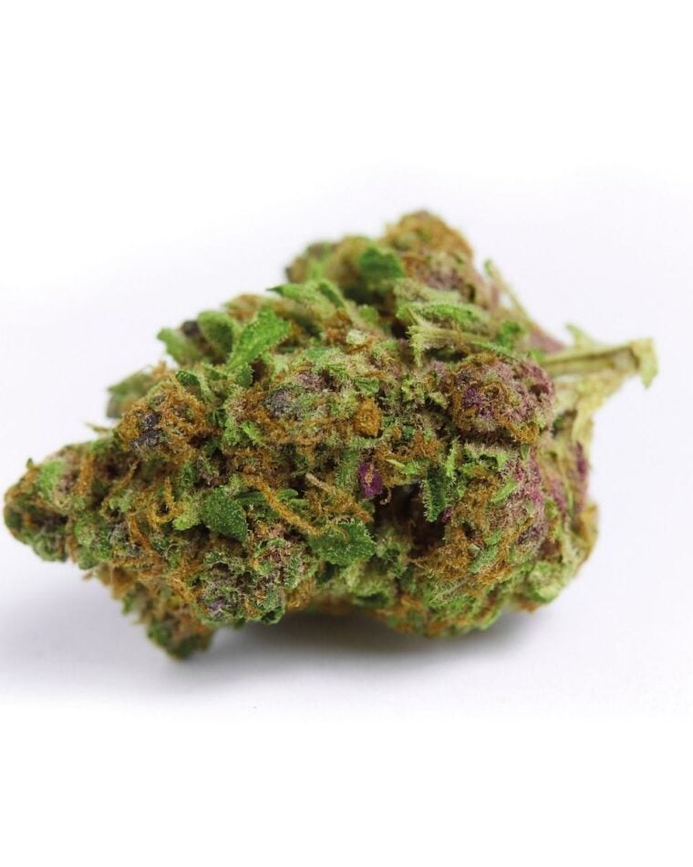 Image 1 of Red Banana Berry cannabis by Growers Choice – Large yield – Super Strength – Happy – Seed City