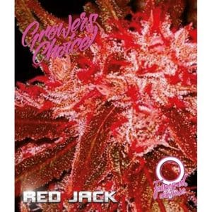 Red Jack Auto