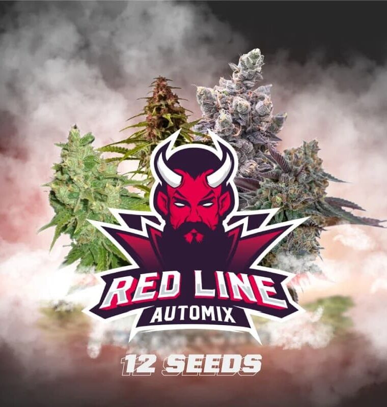 Red Line Automix by BSF Seeds – Outdoor – Floral – Indica-heavy – image 1 – Seed City