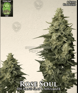 Rose Soul