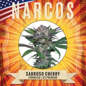 Sabroso Cherry