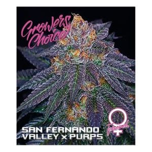 San Fernando Valley x Purps