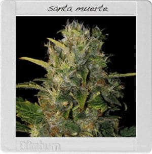 Santa Muerte
