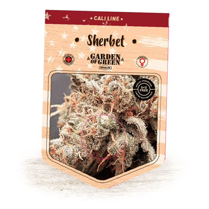 12/12 Photoperiod – Indoor-friendly – Indica Dominant – Sherbert strain – image 1 – from Garden of Green via Seed City