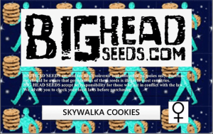 Skywalka Cookies