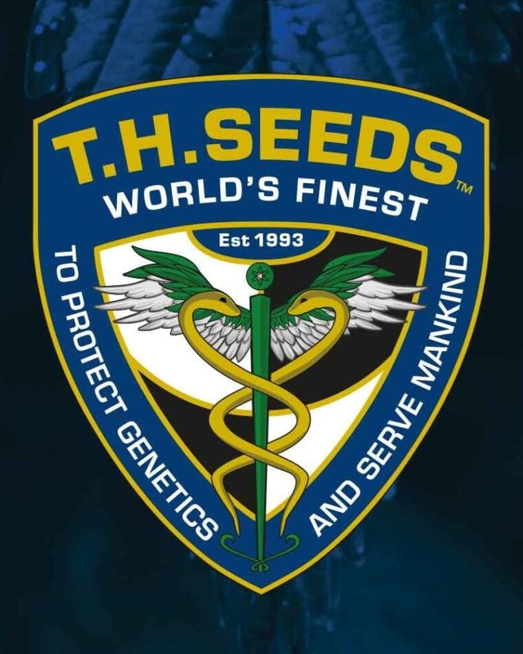 Sour Cake by TH Seeds – Regular – Fuel – 50% Indica/50% Sativa – image 1 – Seed City