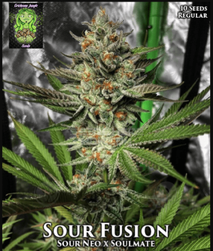Sour Fusion