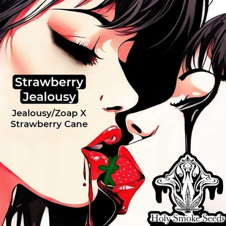 Strawberry Jealousy cannabis seeds – Guaranteed female plants – 50% Indica/50% Sativa – Outdoor – image 1 from Seed City