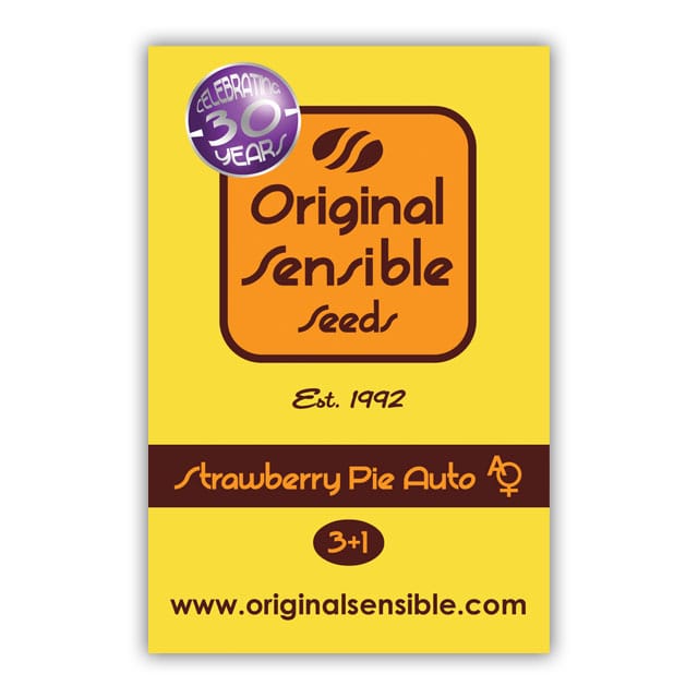 Strawberry Pie Auto cannabis seeds – Auto-Flowering – Strawberry – Feminized – image 1 from Seed City
